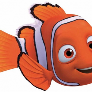 nemo-package-st-barth